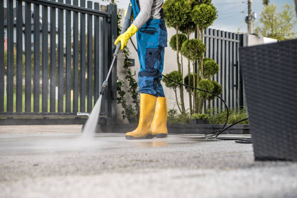 Best Roof Power Washing Services  in Biggs, CA
